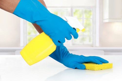 Detailed kitchen cleaning during move in cleaning in Uxbridge