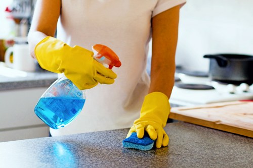 Detail cleaning in a Uxbridge kitchen and bathroom