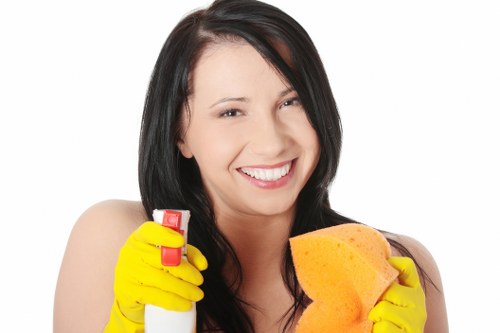 Cleaner handling a routine domestic cleaning appointment