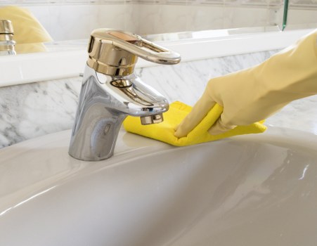 Upholstery treatment for lingering pet smells in a local property